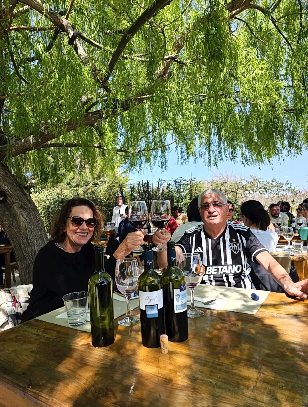 Pareja brindando con vino tinto bajo un árbol en una bodega de Mendoza